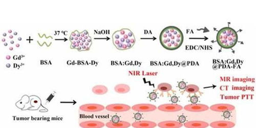 新型生物仿生纳米材料问世，开启肿瘤诊疗一体化新纪元