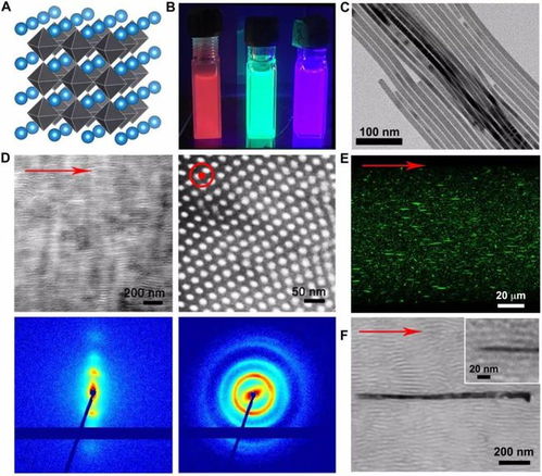 可编程钙钛矿纳米线与嵌段共聚物复合材料的多元应用前景