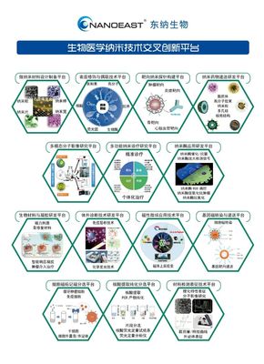 精品速递 │ NanoEast全系列微纳米材料 助力生命科学创新与医学应用